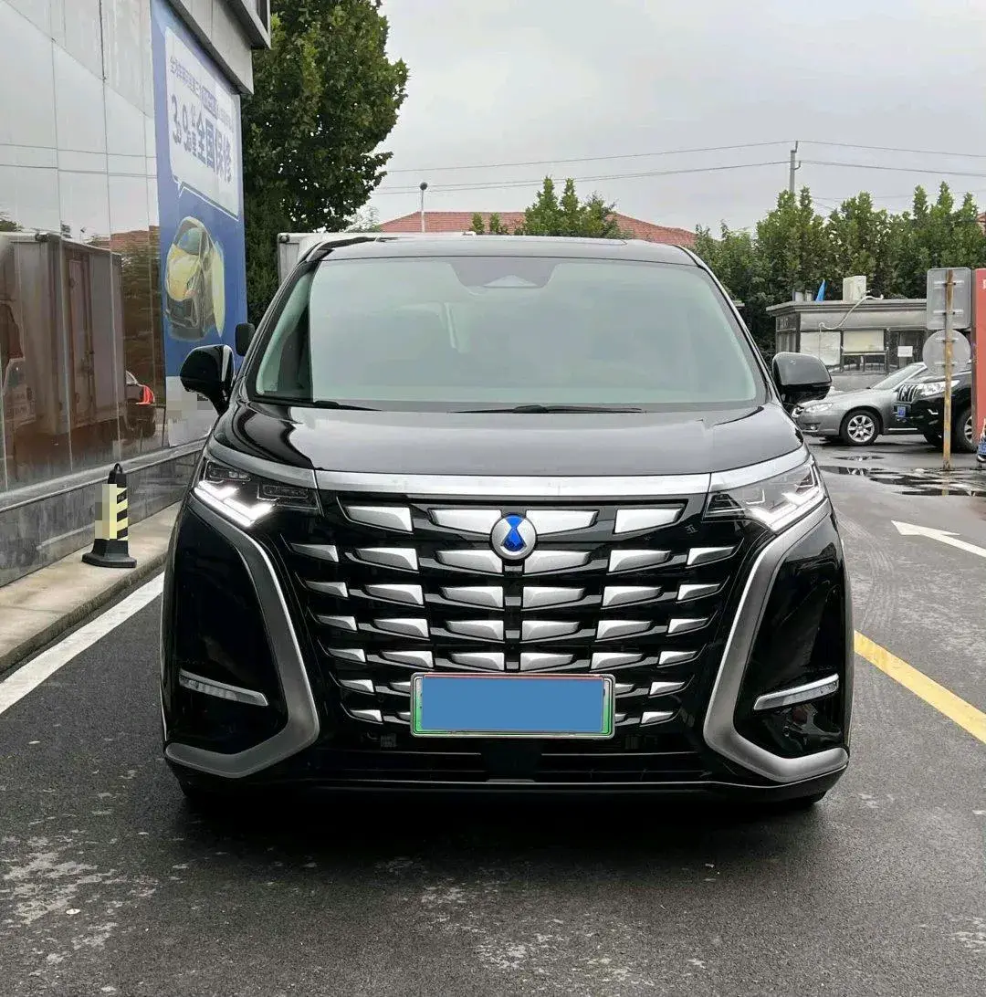 2024 DENZA D9 thumbnail 2