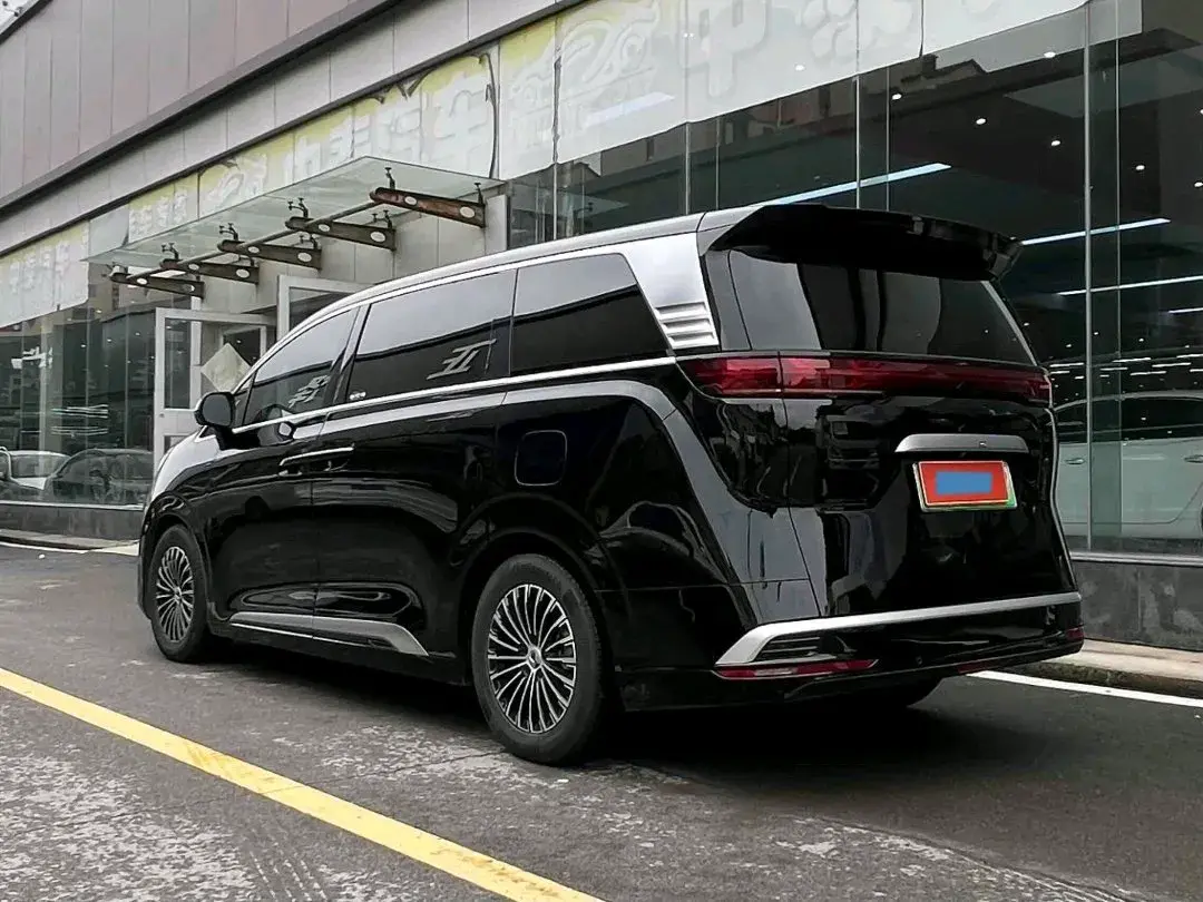 2024 DENZA D9 thumbnail 4