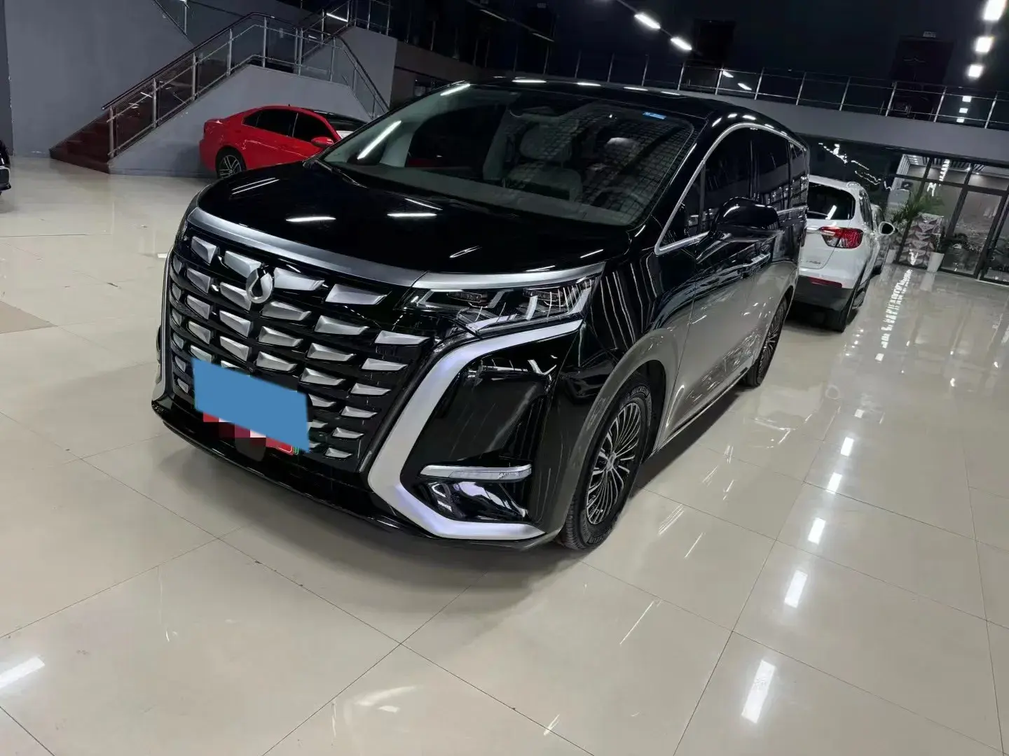 2022 DENZA D9 view 1