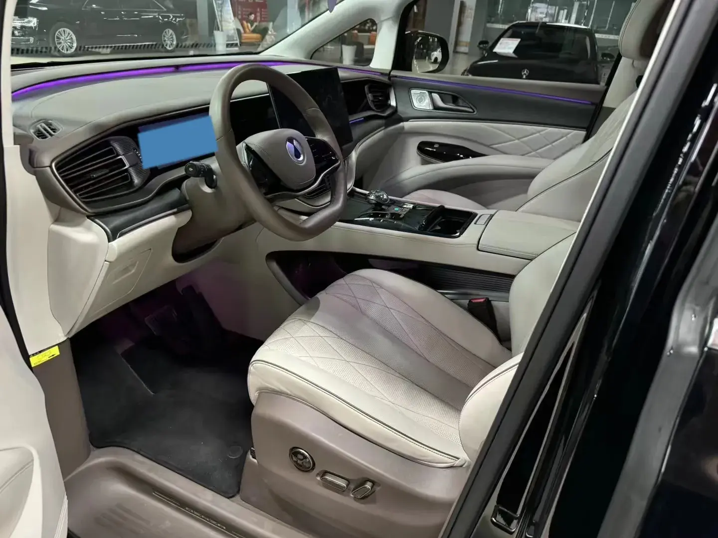 2022 DENZA D9 thumbnail 3