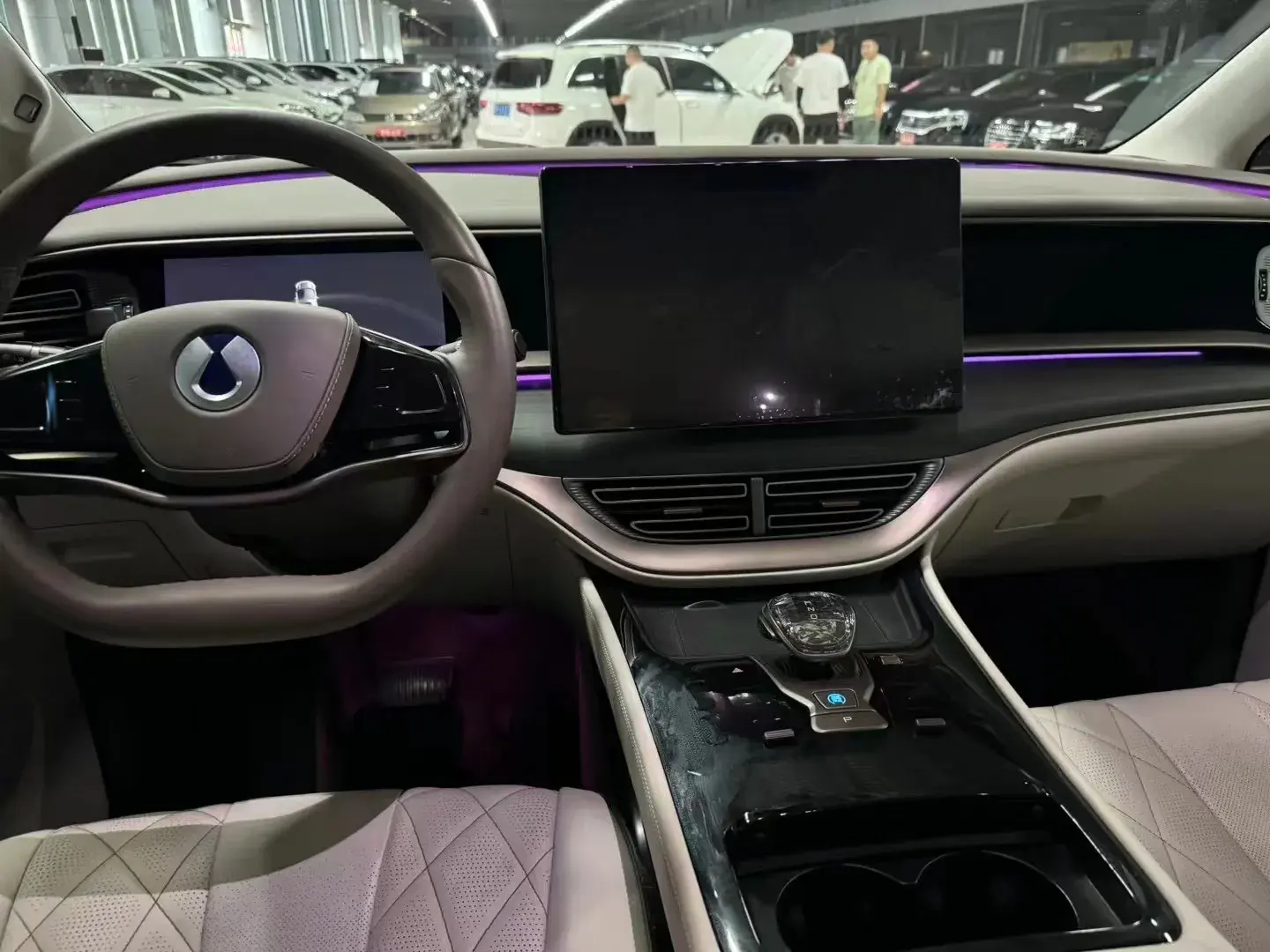 2022 DENZA D9 thumbnail 4