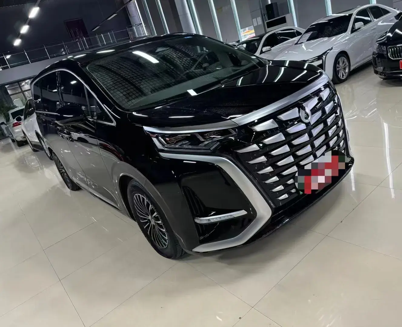 2022 DENZA D9 thumbnail 2