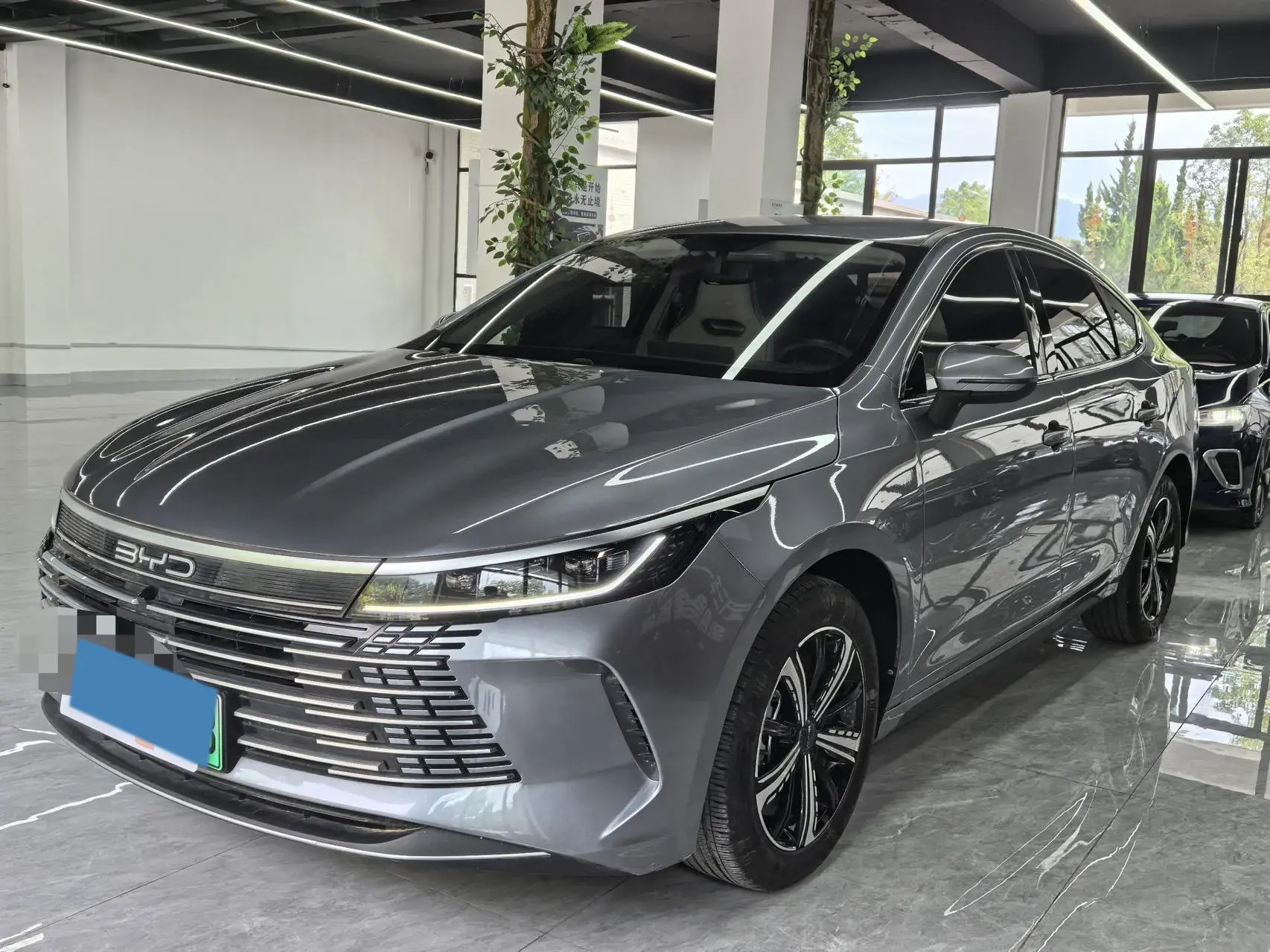 2024 BYD DESTROYER view 1