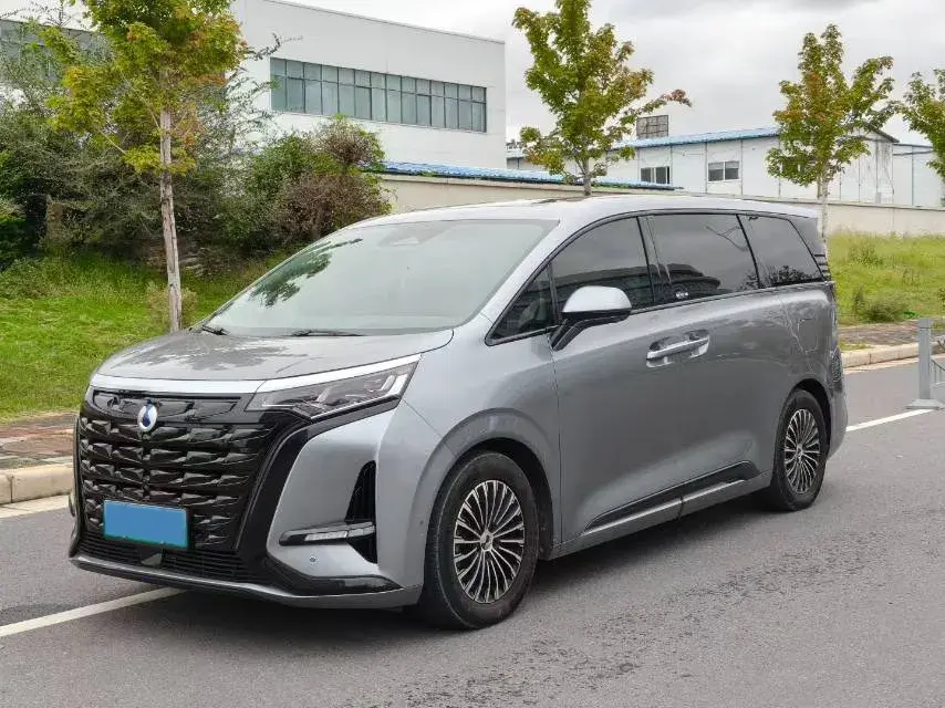 2022 DENZA D9 view 1