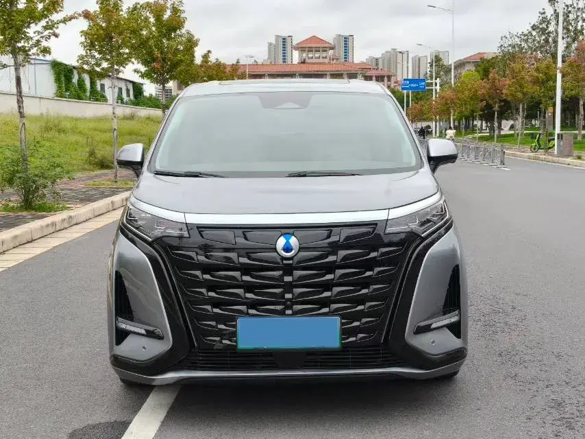 2022 DENZA D9 thumbnail 2