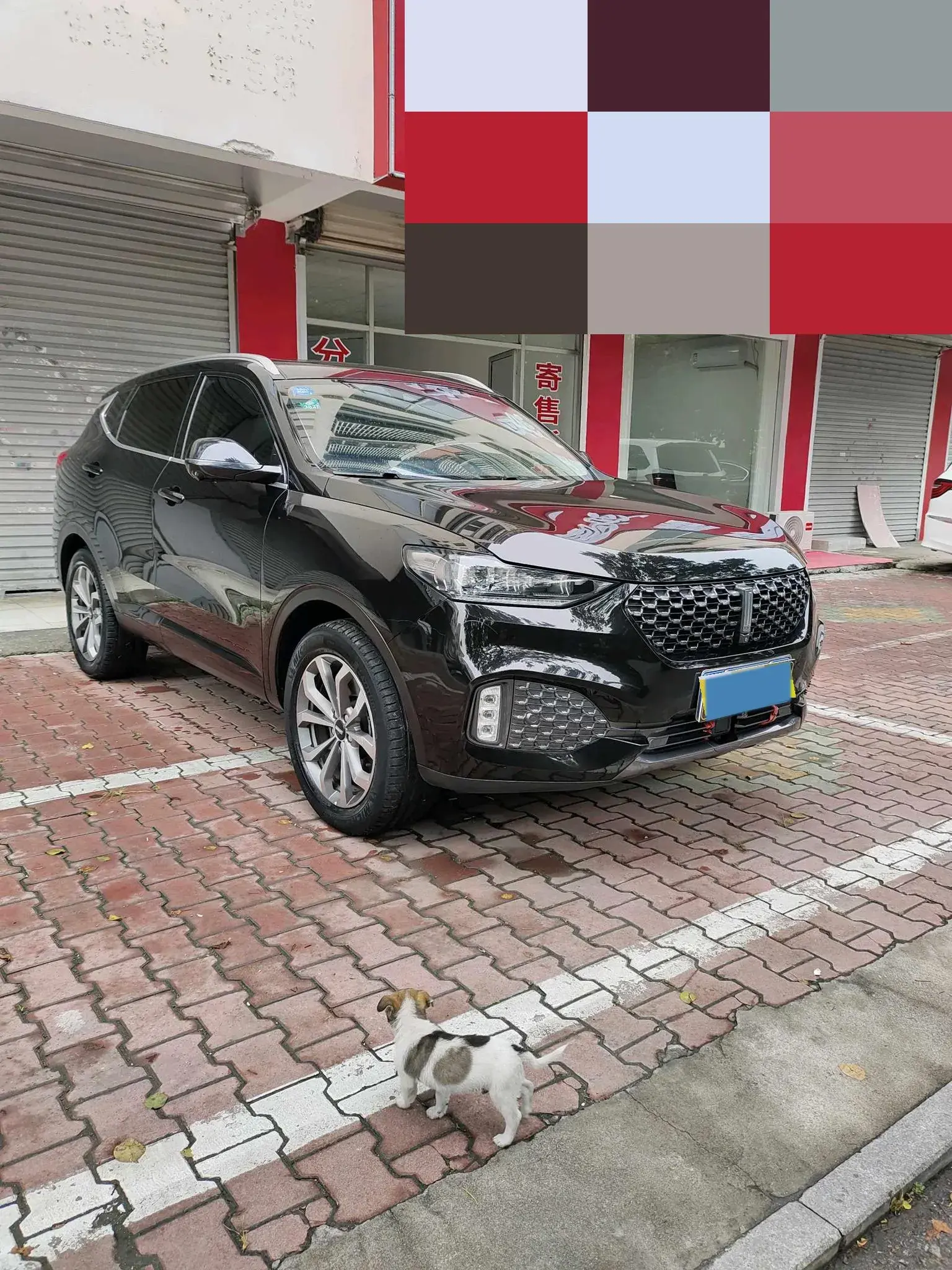 2020 WEY VV6 thumbnail 2