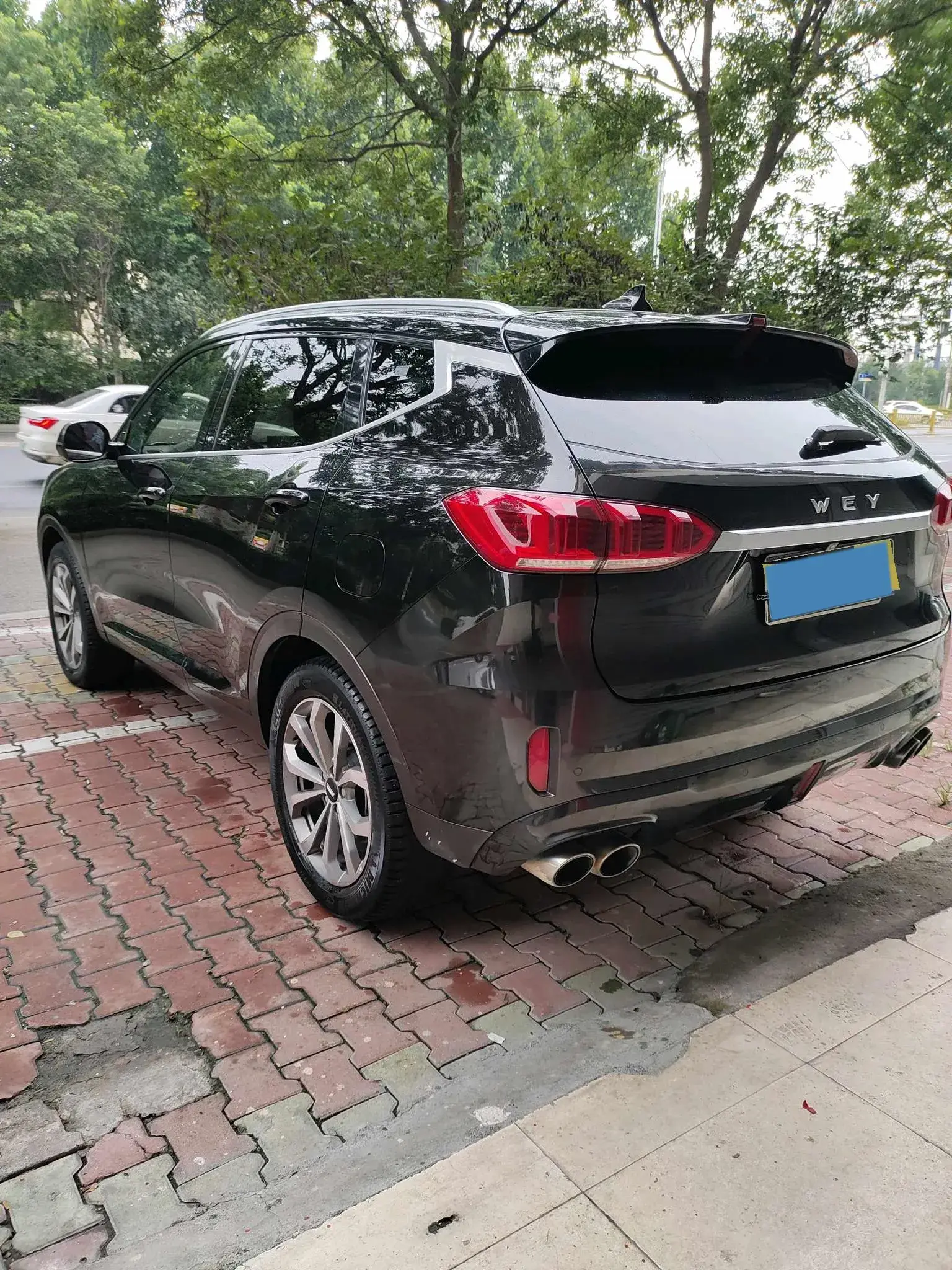 2020 WEY VV6 thumbnail 4