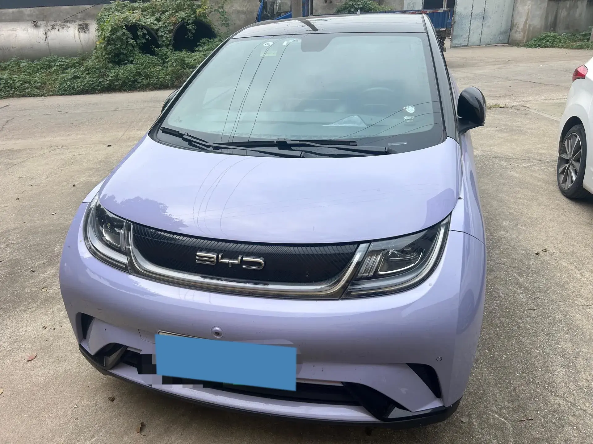 2023 BYD DOLPHIN thumbnail 2