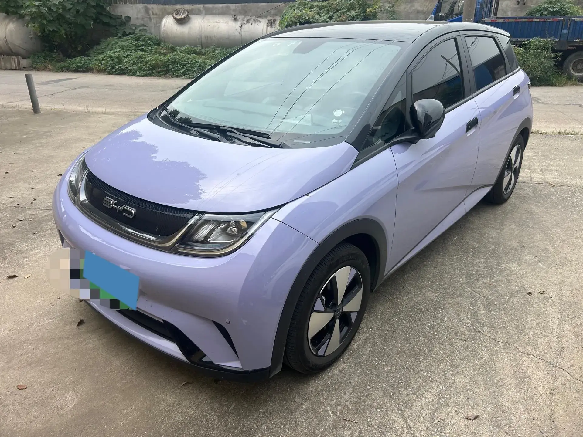 2023 BYD DOLPHIN view 1