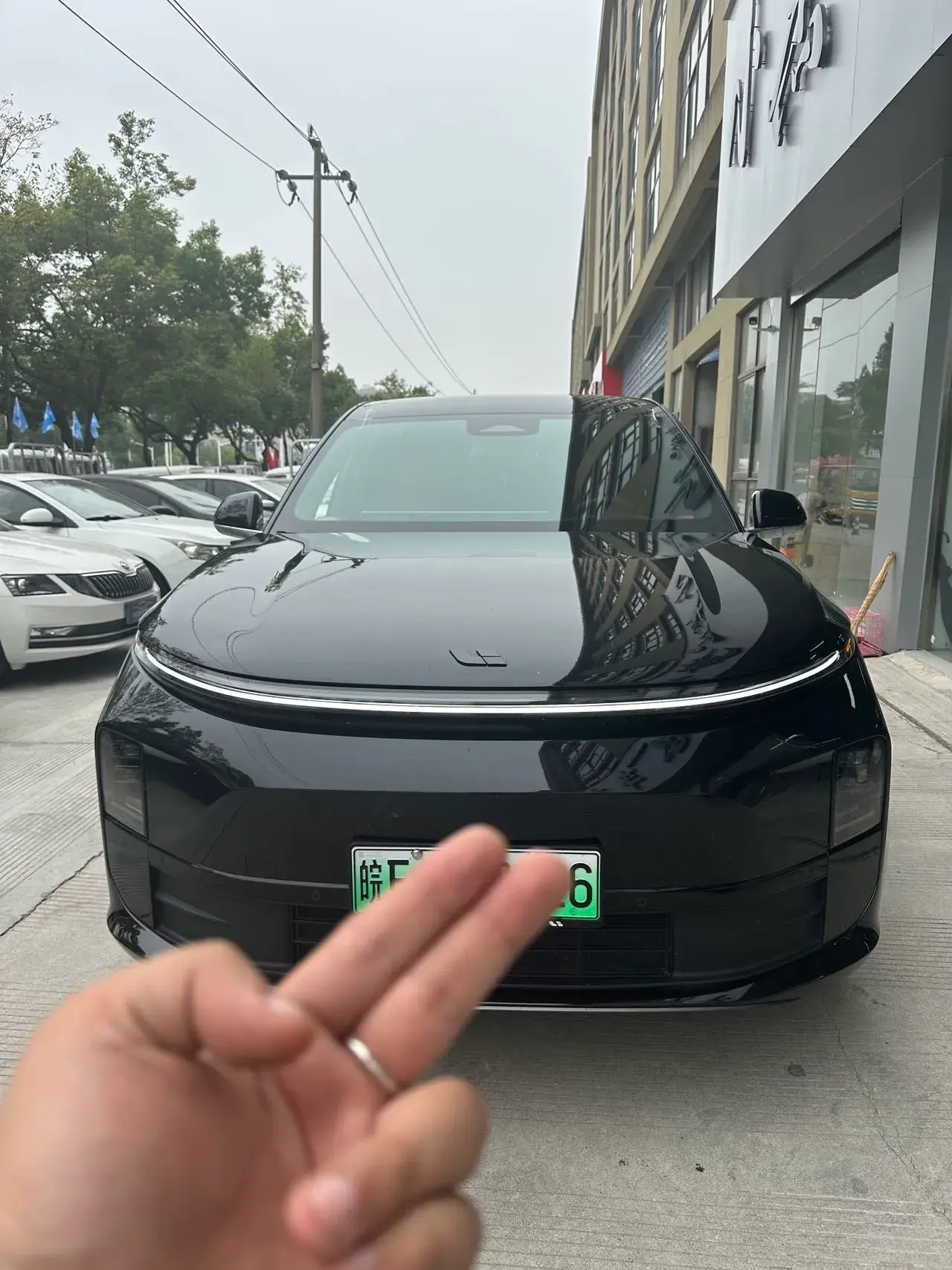 2024 LI L6 thumbnail 2