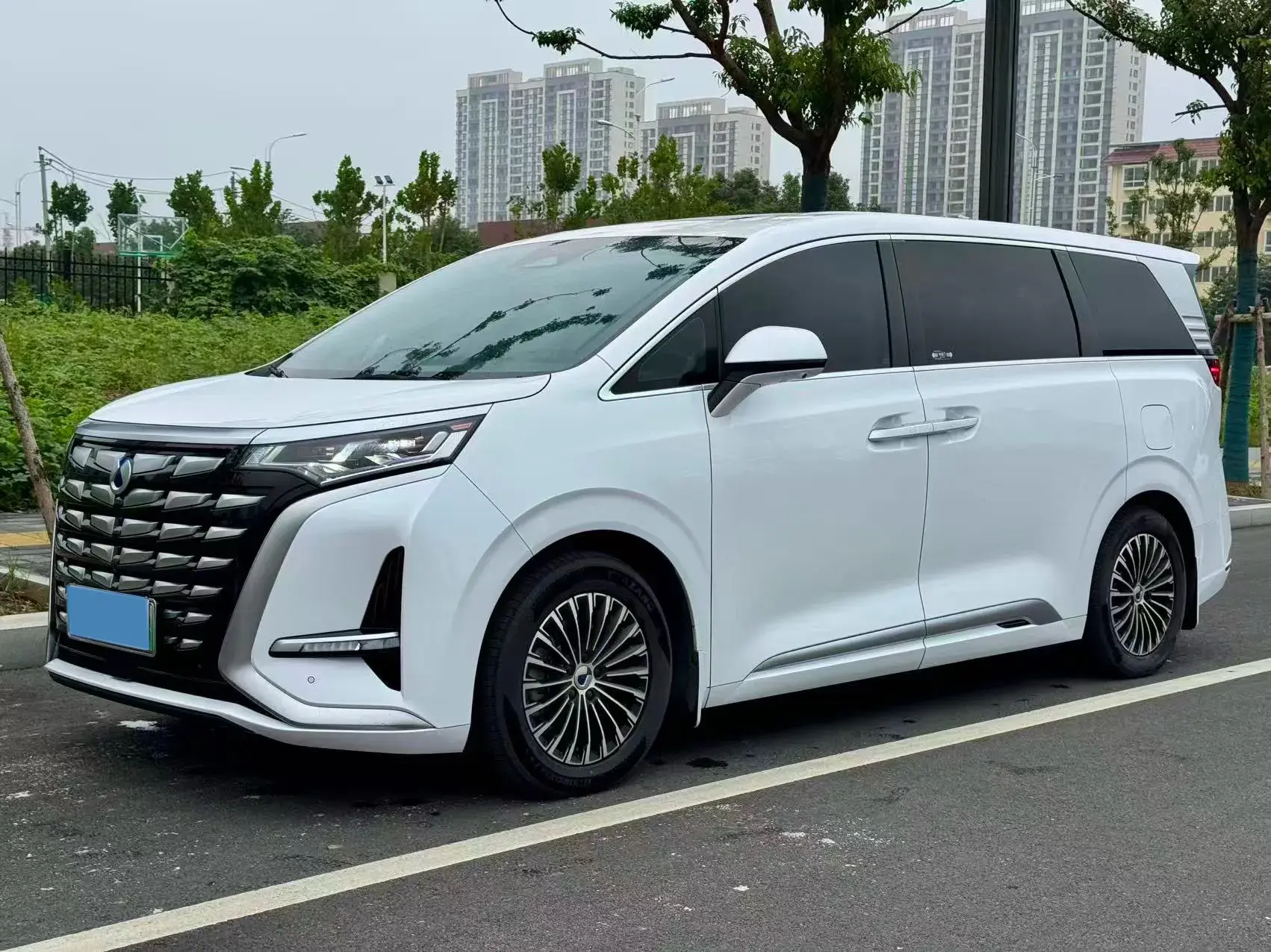 2022 DENZA D9 view 1