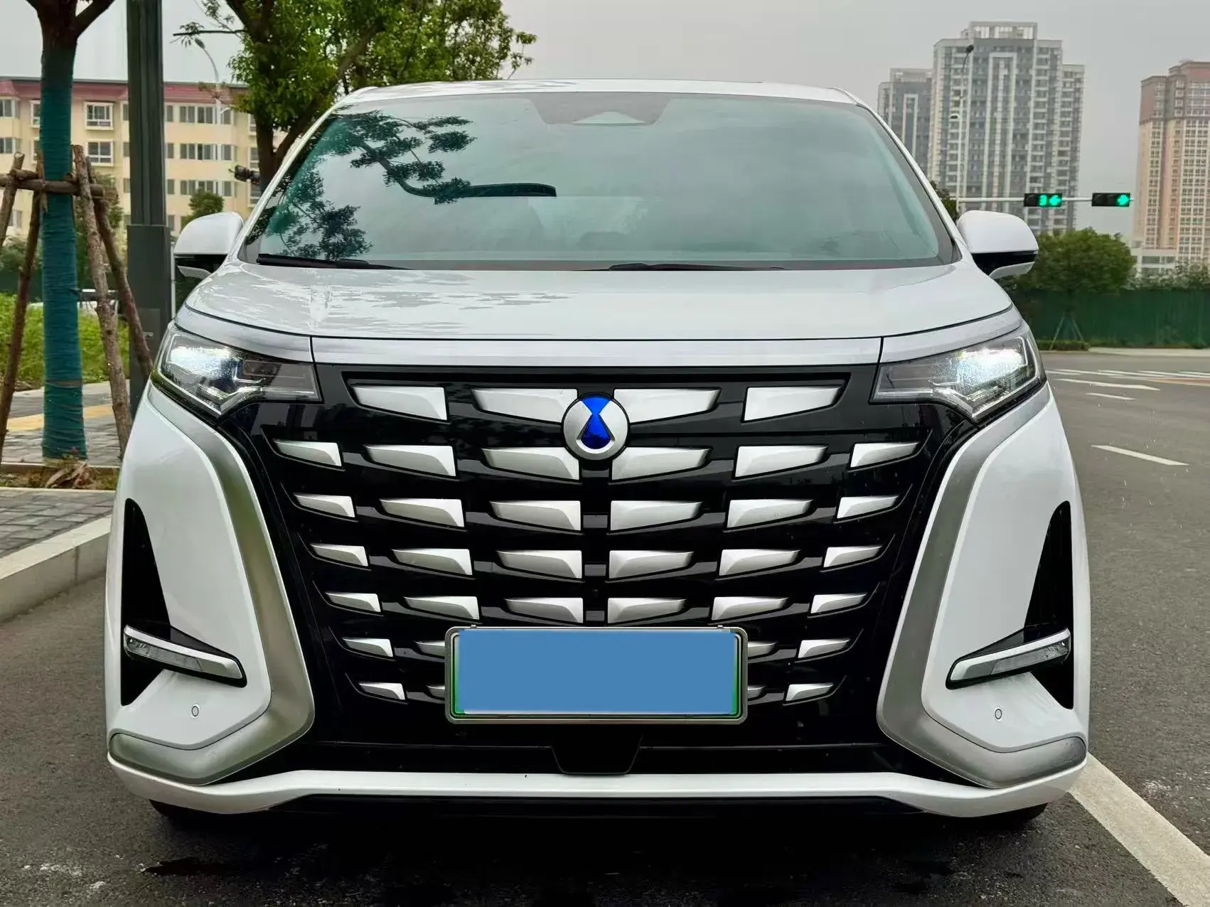 2022 DENZA D9 thumbnail 2