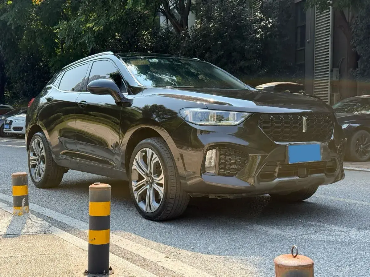 2017 ZOTYE T700 thumbnail 2