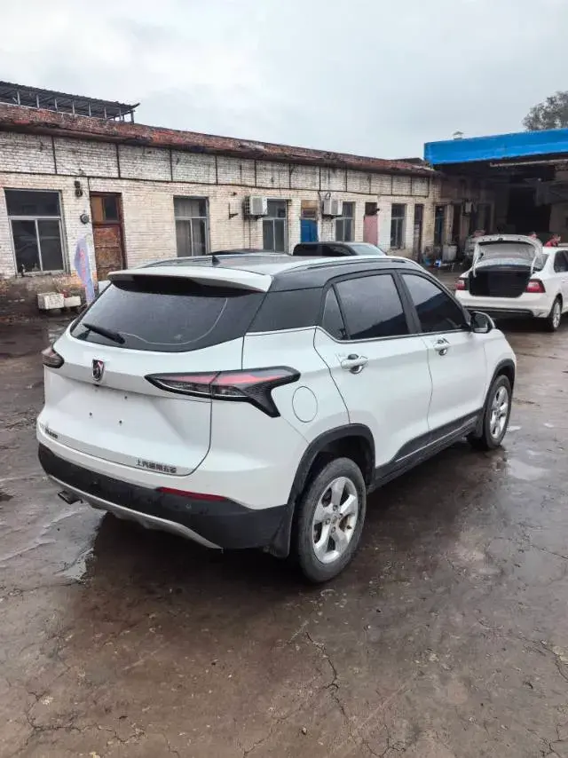 2019 BAOJUN 510 thumbnail 3