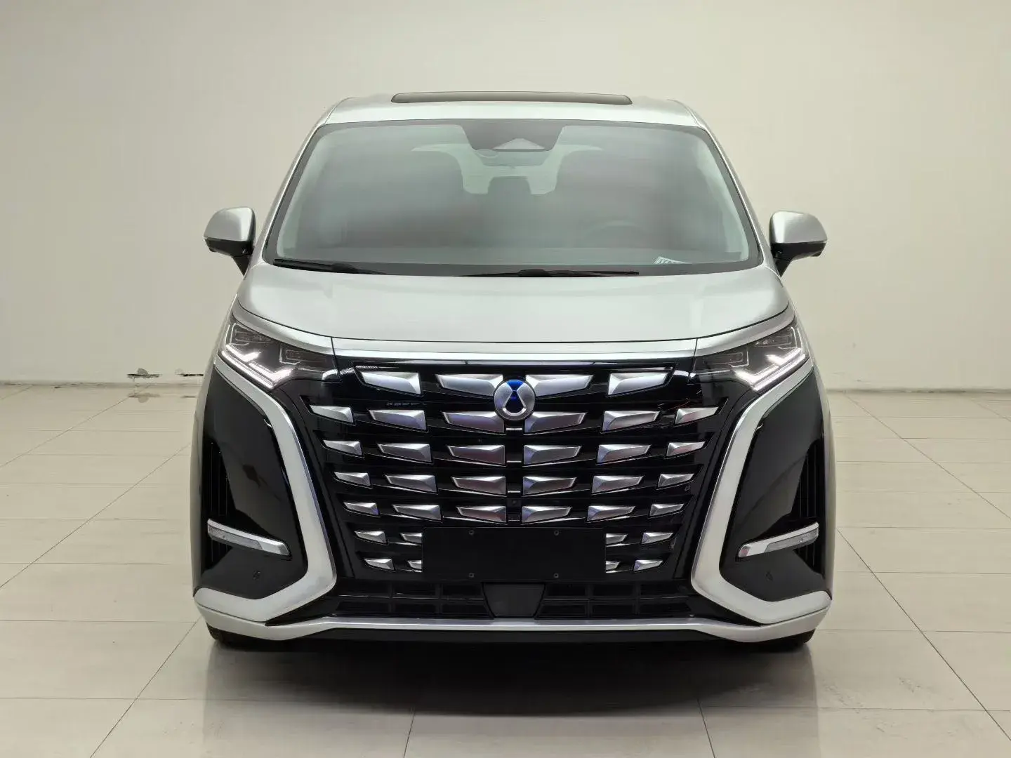 2024 DENZA D9 thumbnail 2