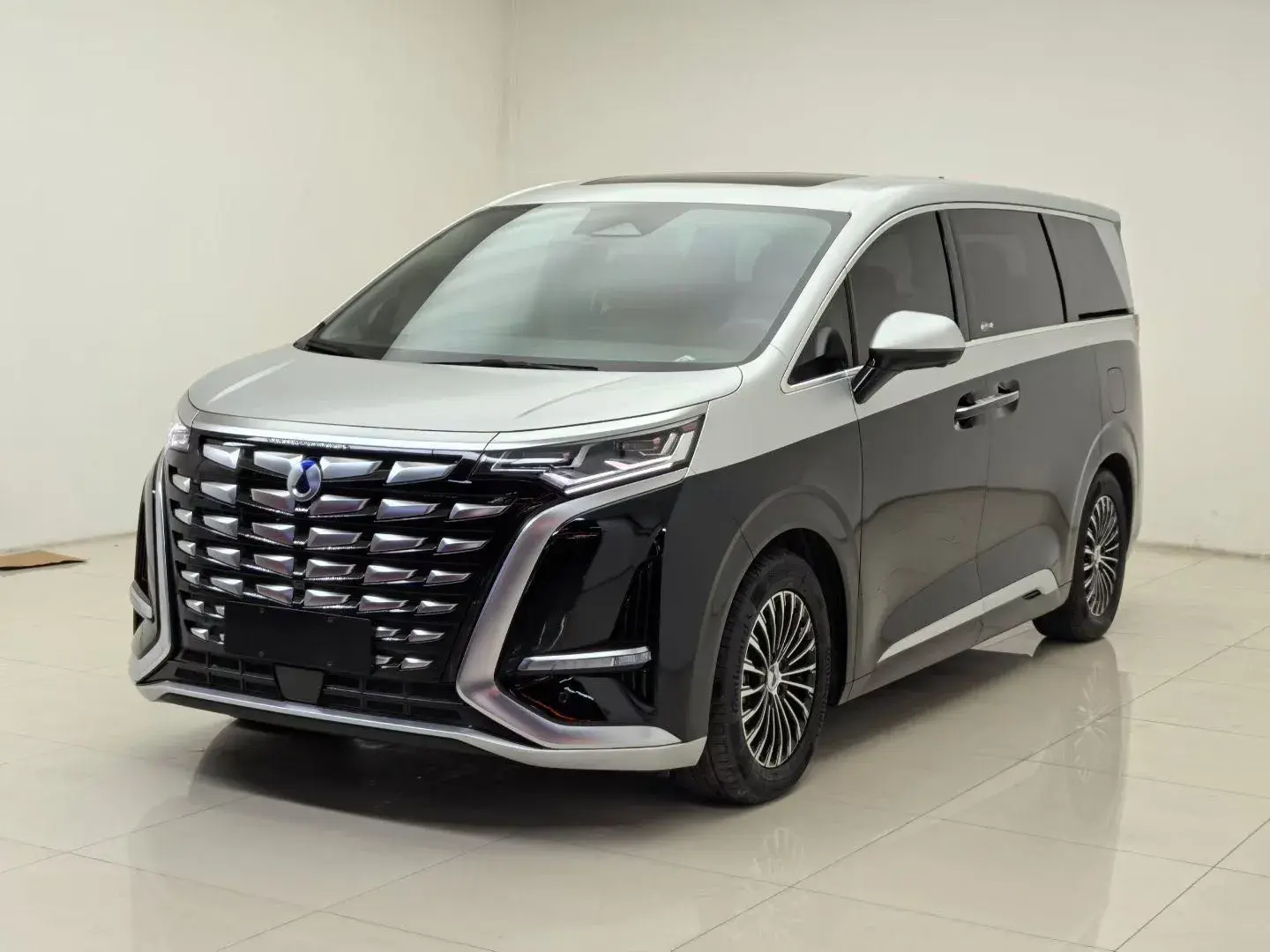 2024 DENZA D9 view 1