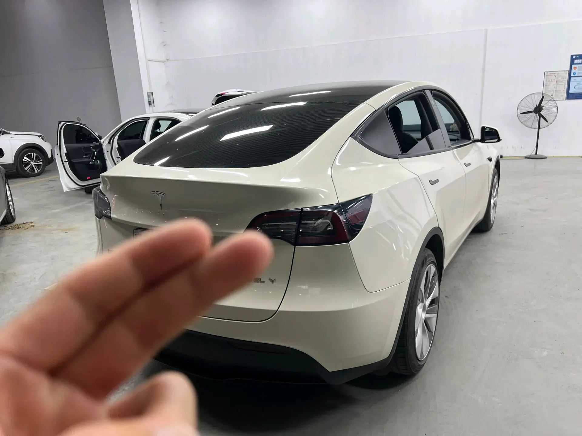 2023 TESLA MODEL thumbnail 4