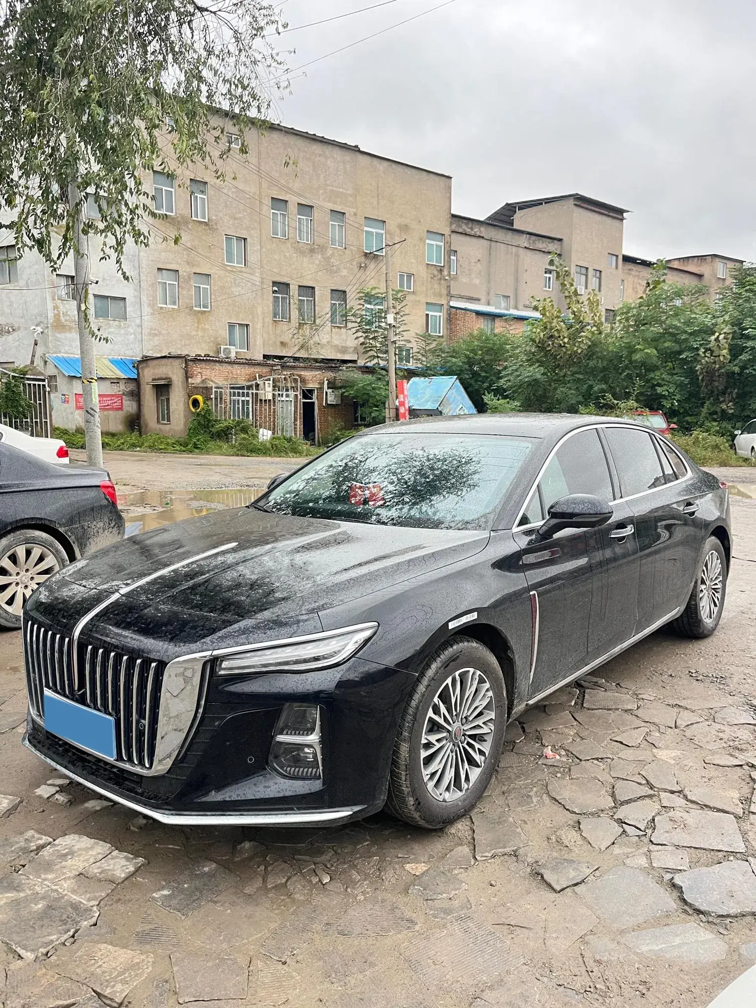 2025 HONGQI H5 view 1