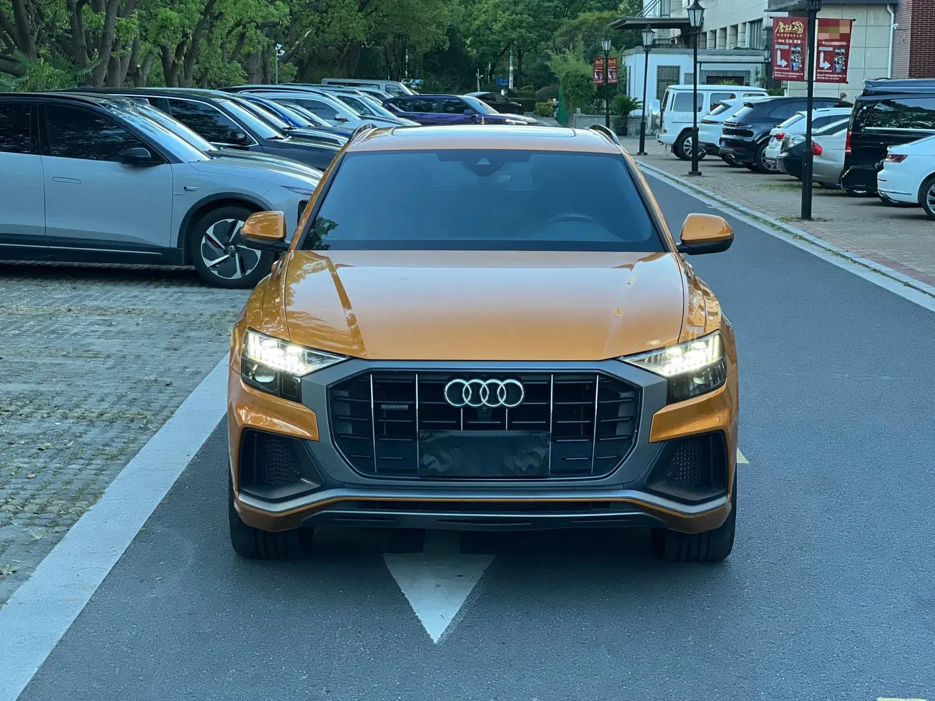 2019 AUDI Q8 thumbnail 2