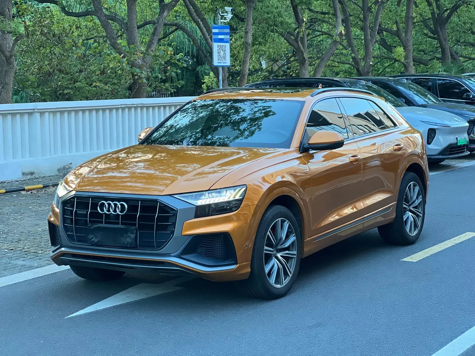 2019 AUDI Q8 view 1