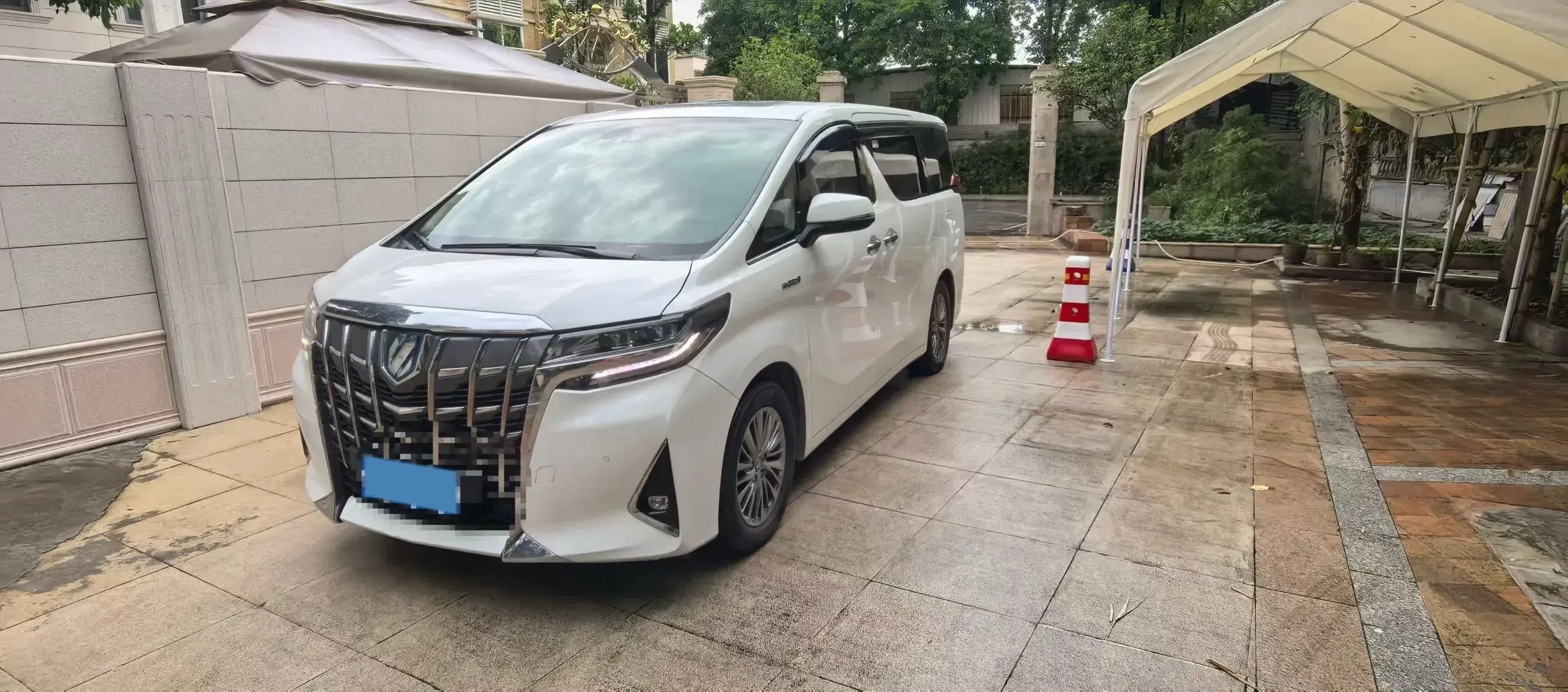 2019 TOYOTA ALPHARD view 1