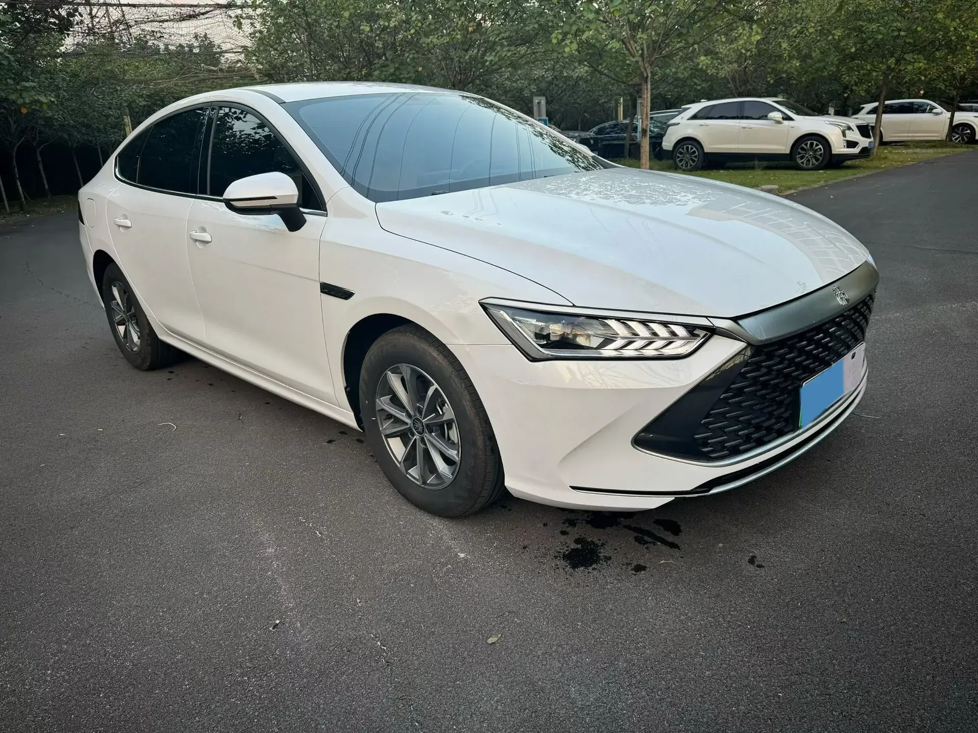 2024 BYD QIN thumbnail 3