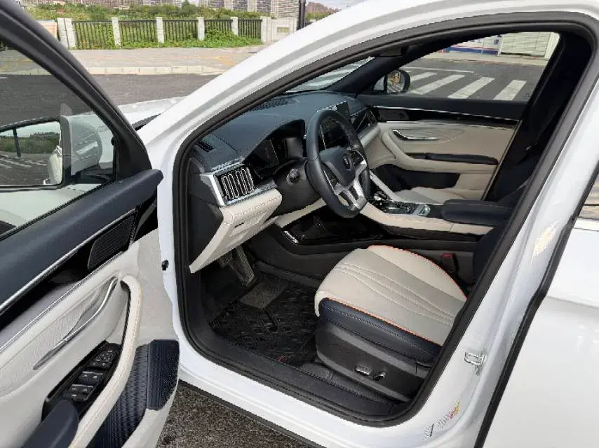 2021 BYD SONG thumbnail 4