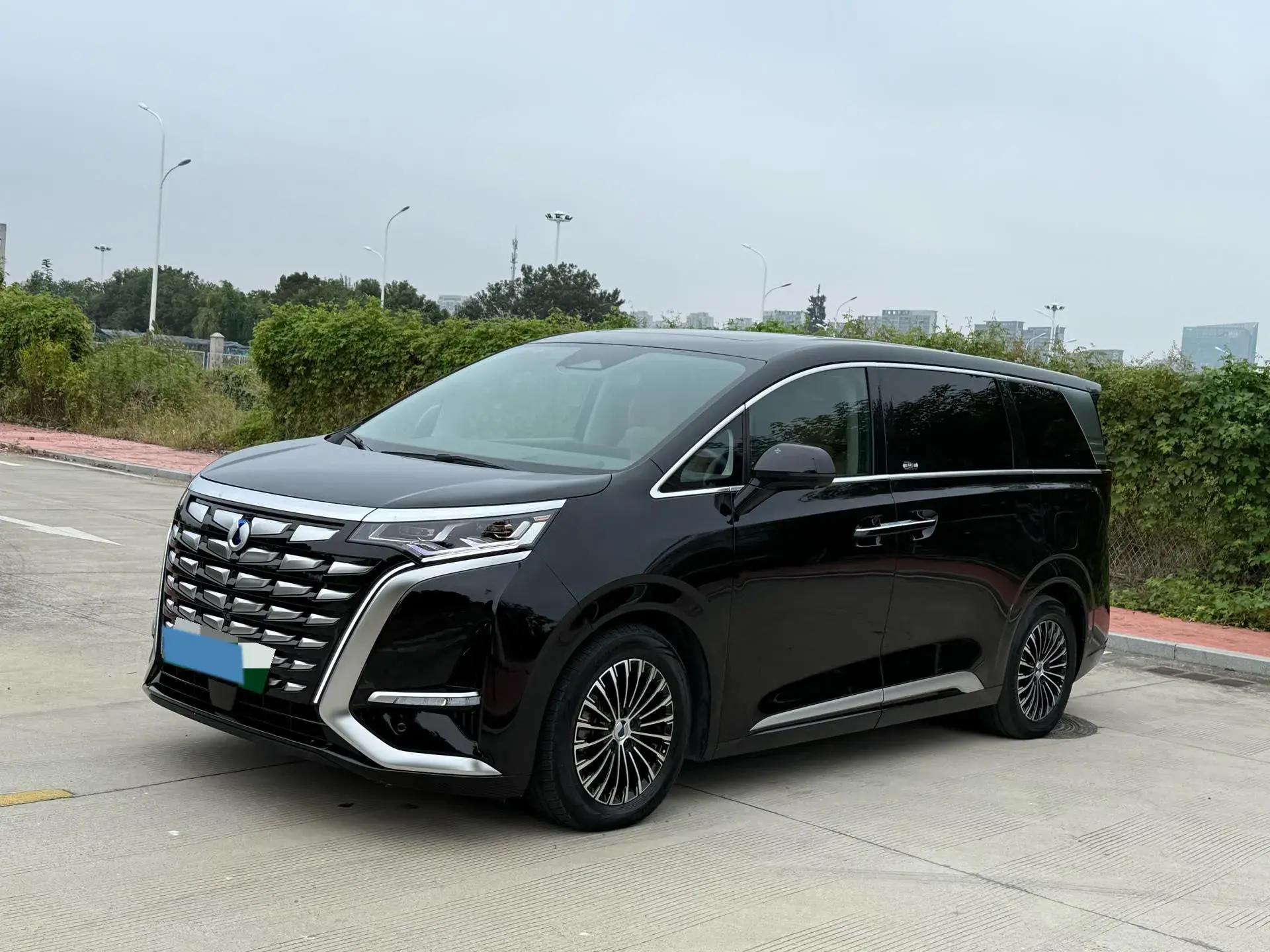 2022 DENZA D9 view 1