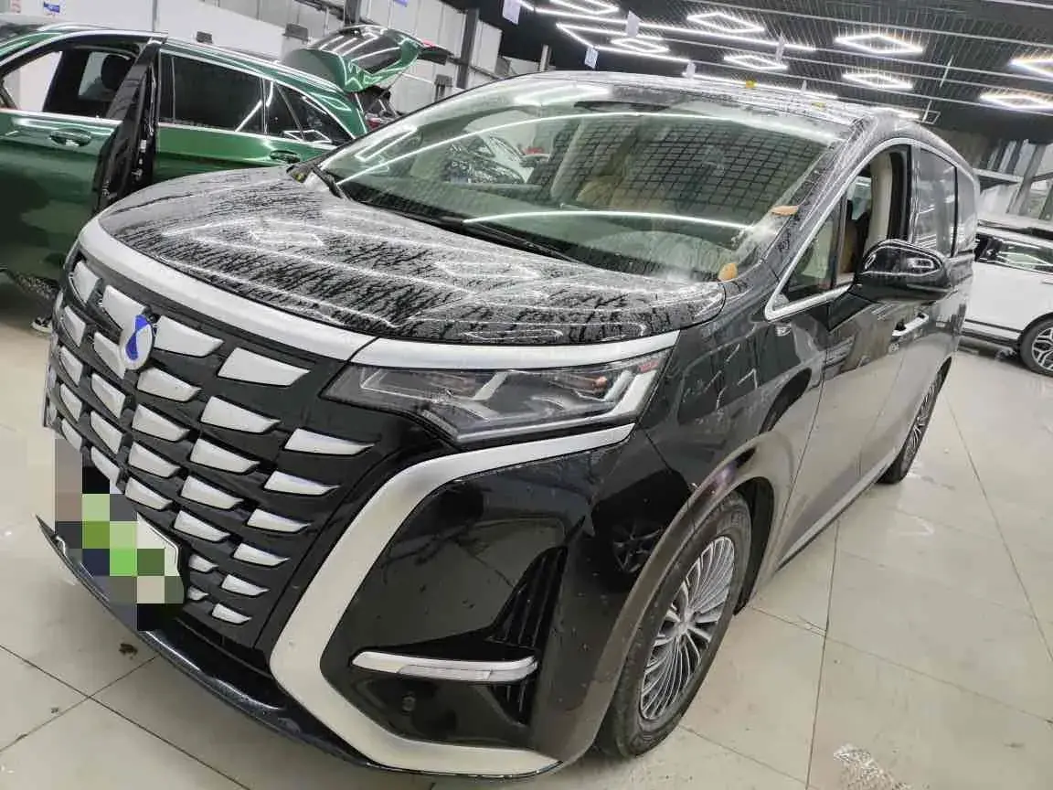 2024 DENZA D9 view 1