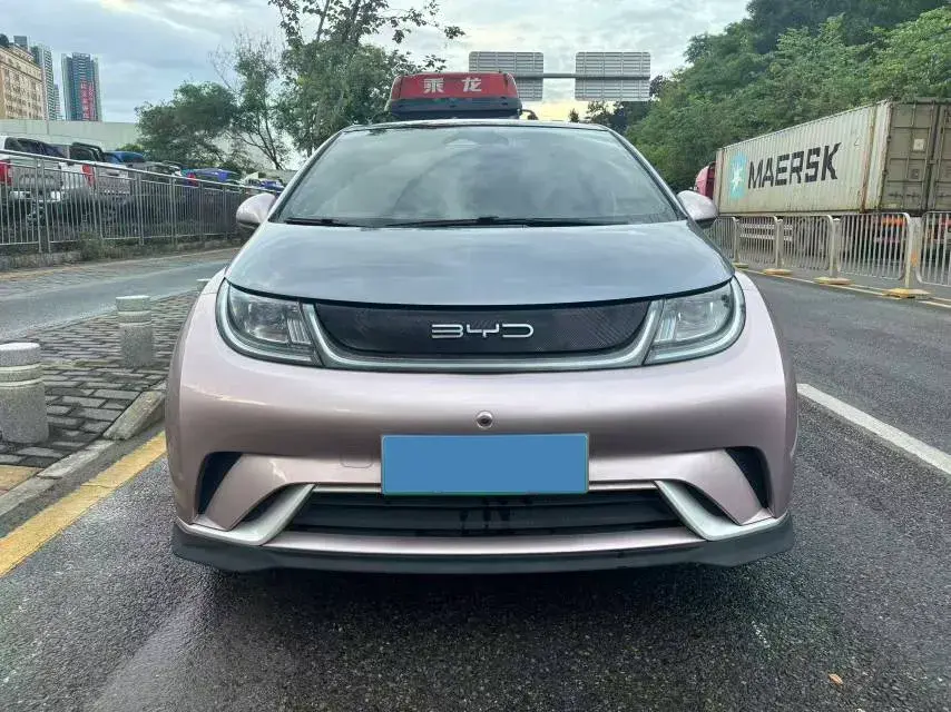 2021 BYD DOLPHIN thumbnail 2