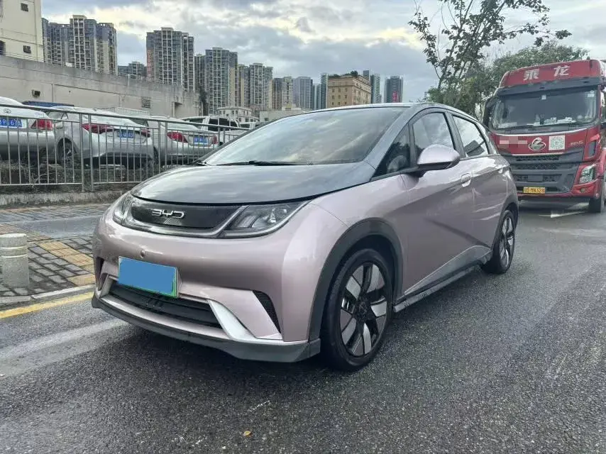 2021 BYD DOLPHIN view 1