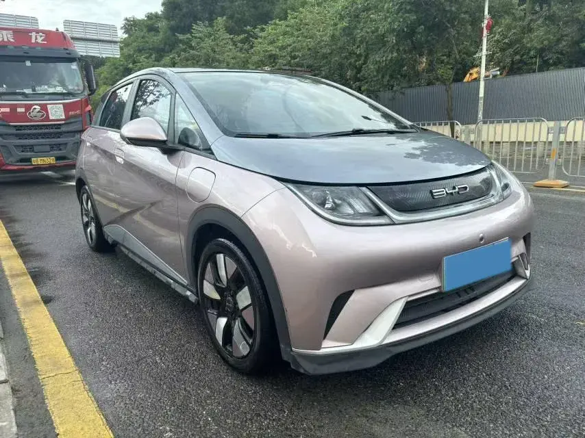 2021 BYD DOLPHIN thumbnail 3