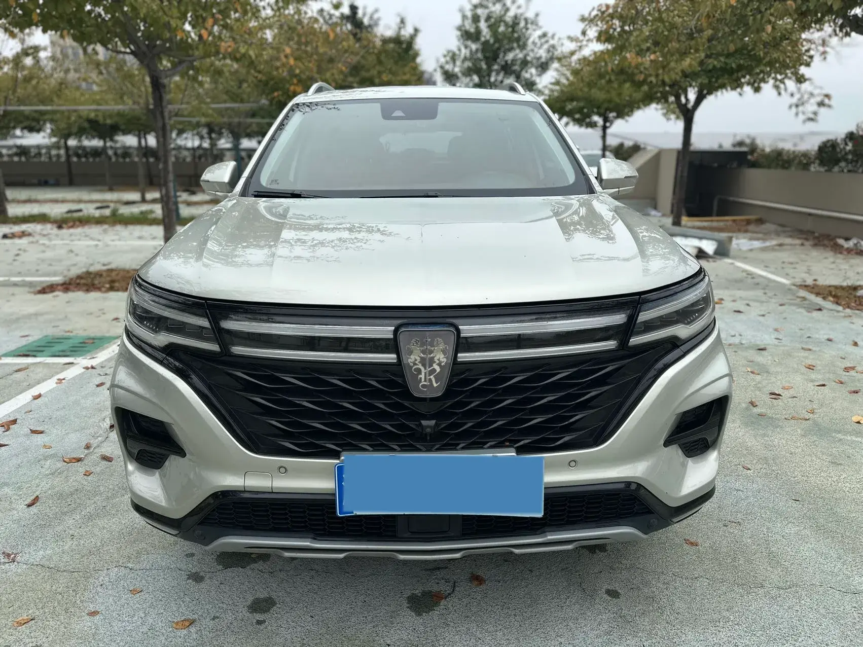 2019 ROEWE RX5 thumbnail 2
