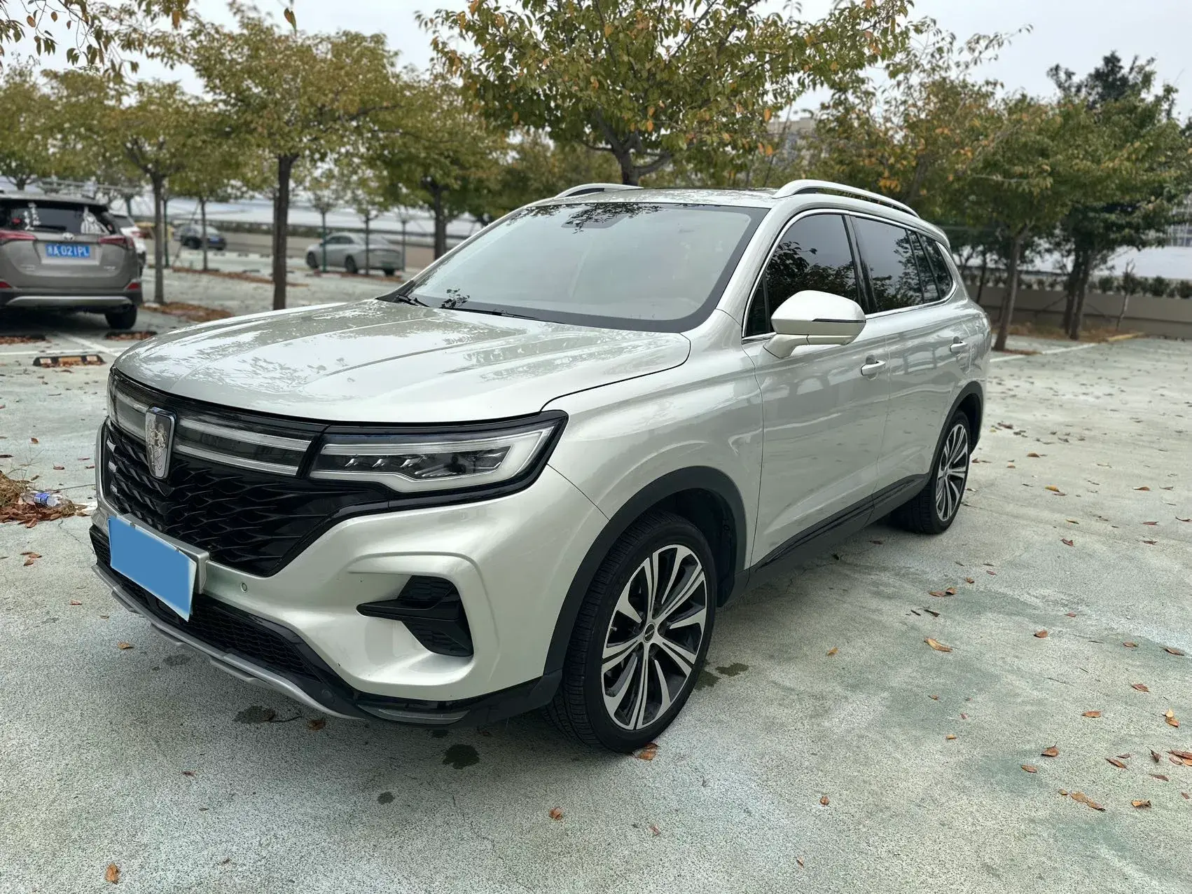 2019 ROEWE RX5 view 1