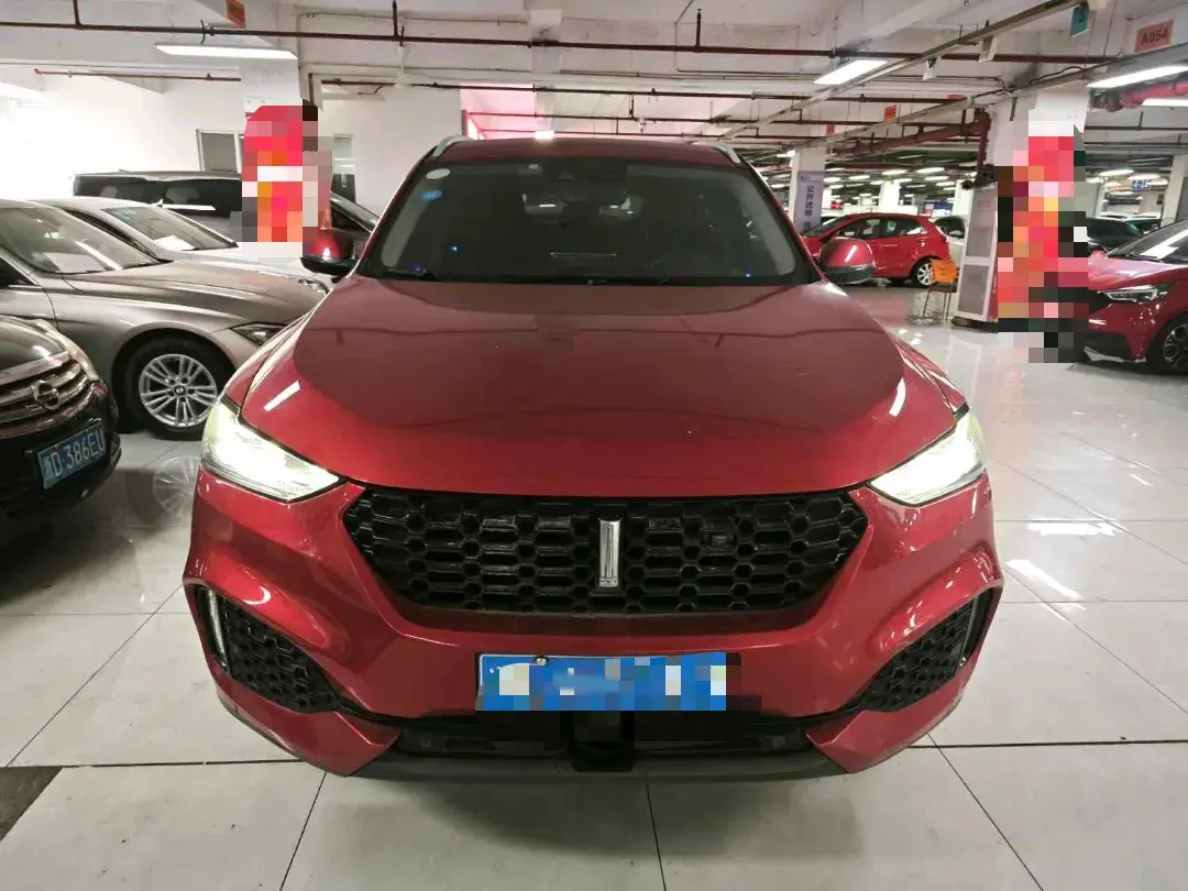 2018 WEY VV6 thumbnail 2