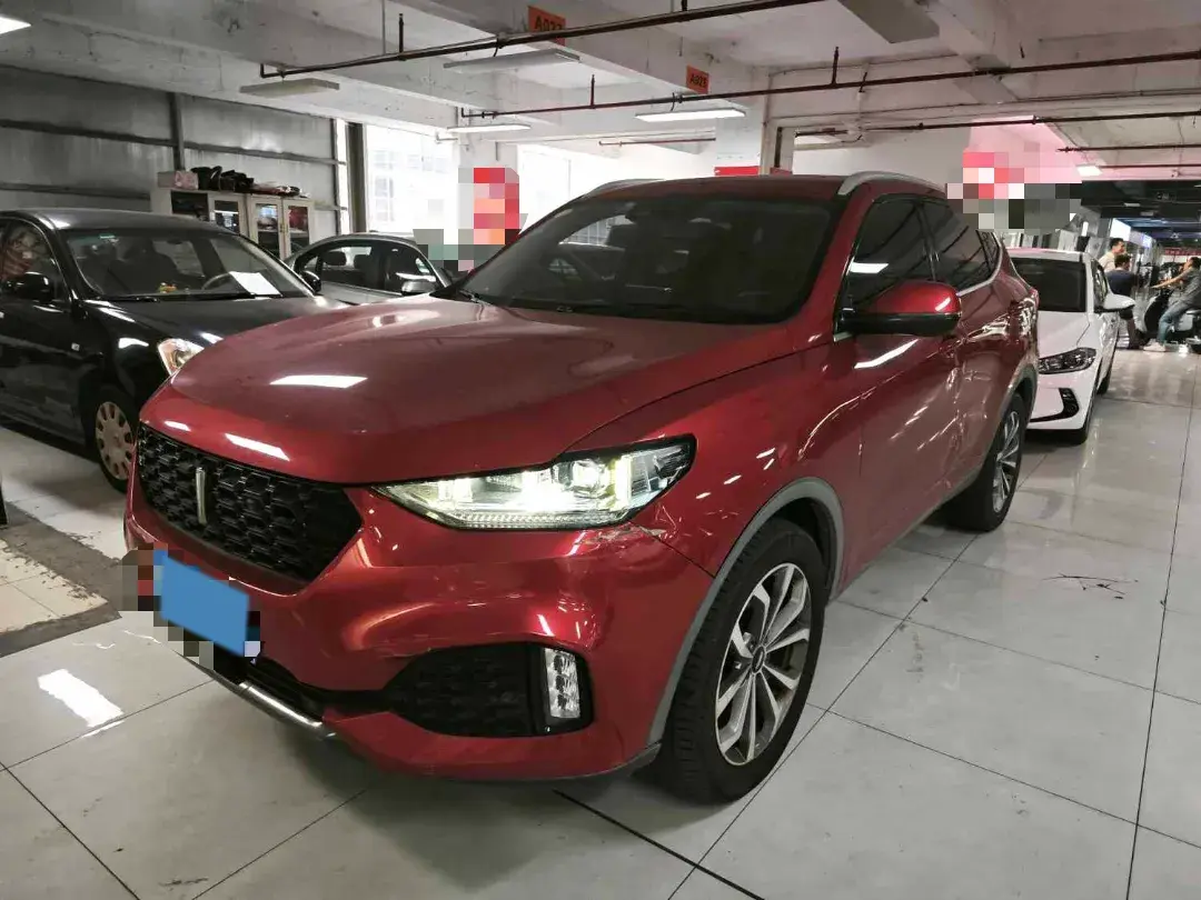 2018 WEY VV6 view 1
