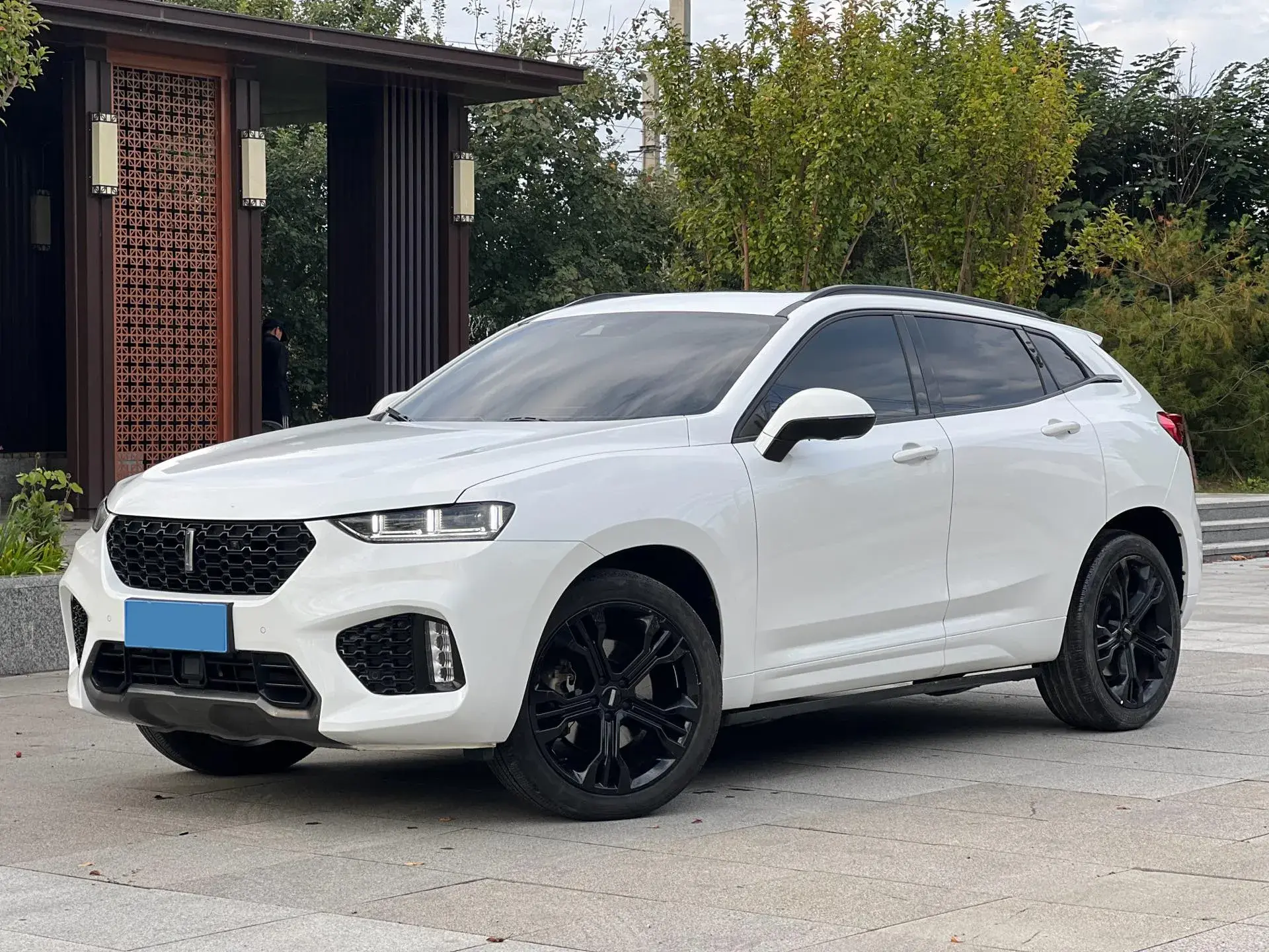 2017 ZOTYE T700 view 1