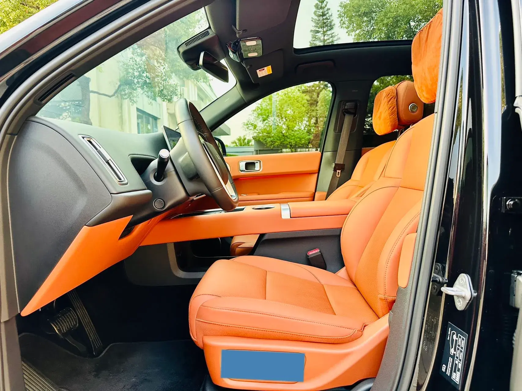 2024 LI L6 thumbnail 4