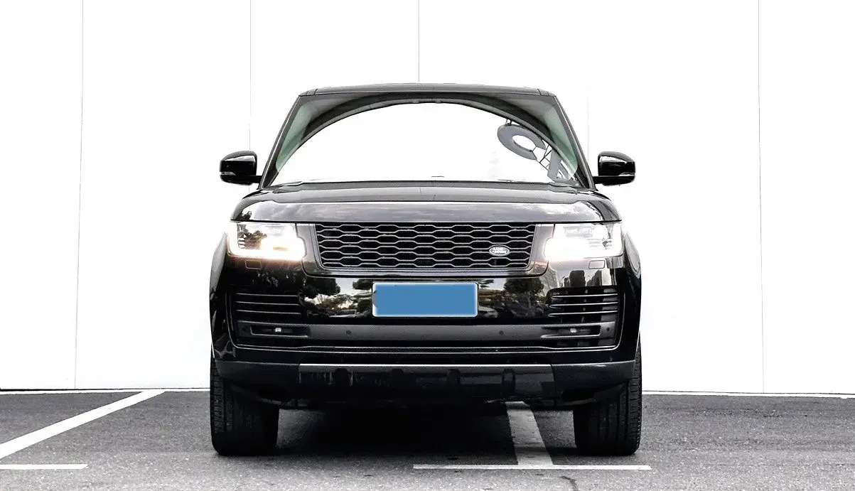 2019 LAND ROVER thumbnail 2