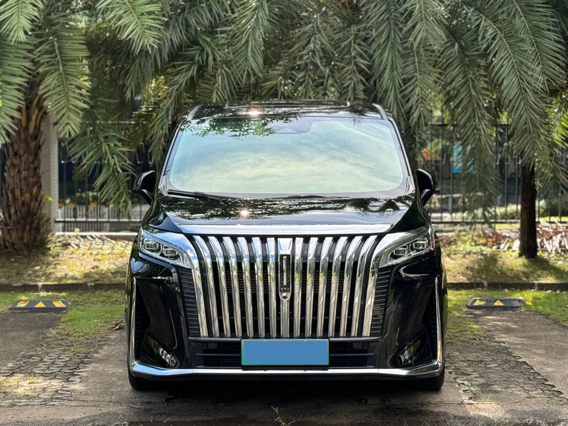 2024 HONGQI HQ9 thumbnail 2