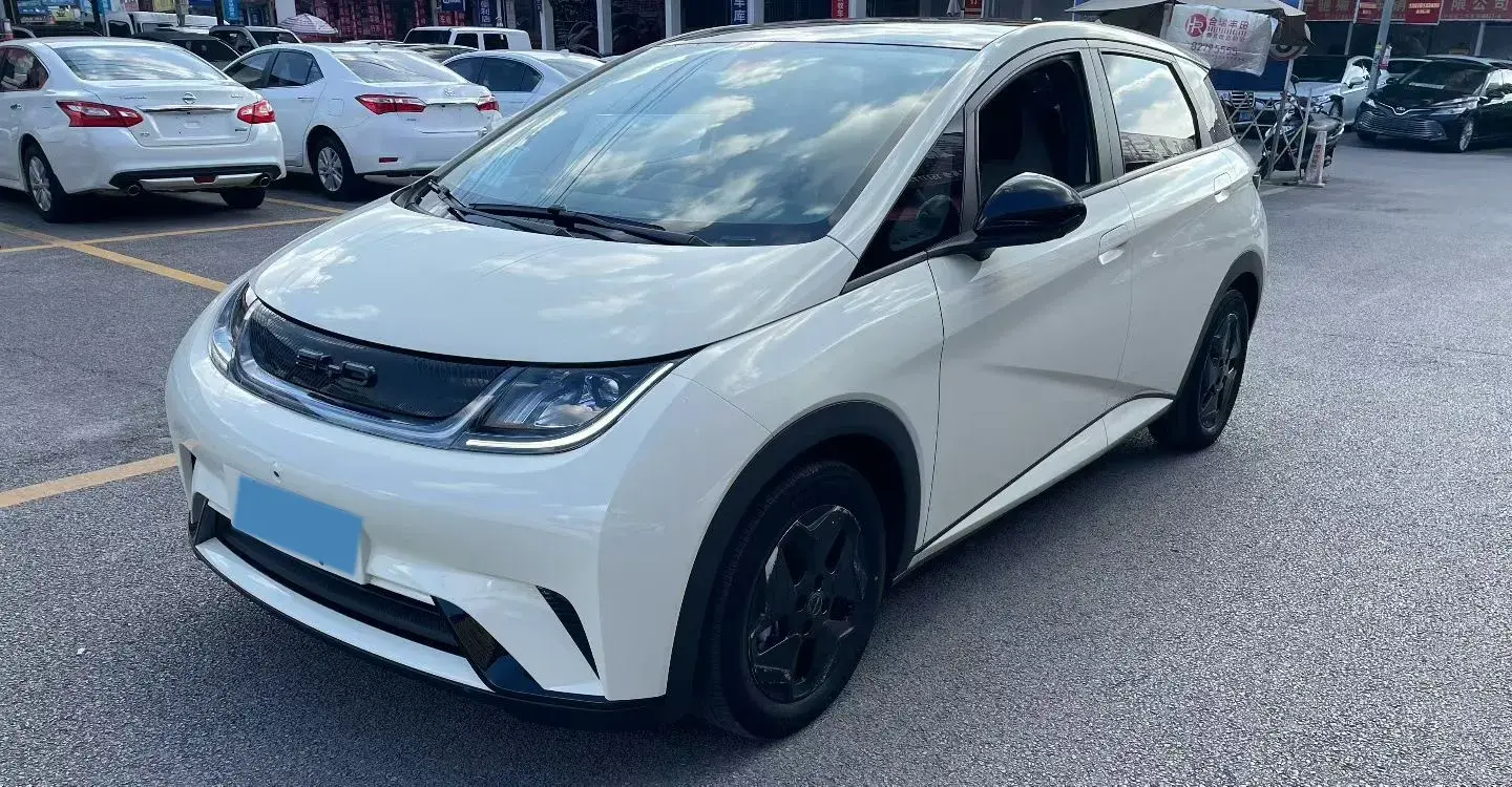 2021 BYD DOLPHIN view 1