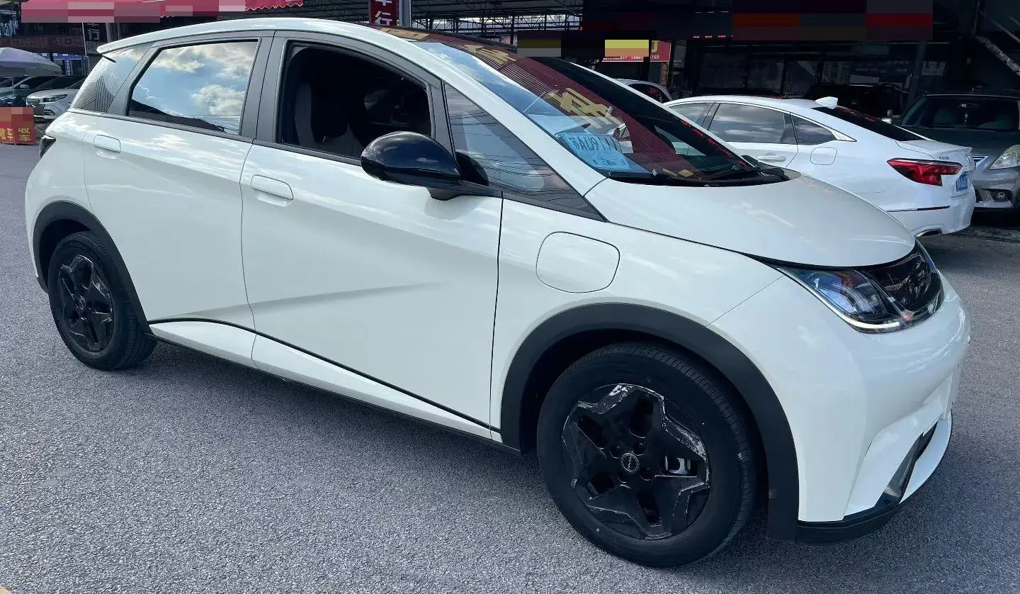 2021 BYD DOLPHIN thumbnail 2