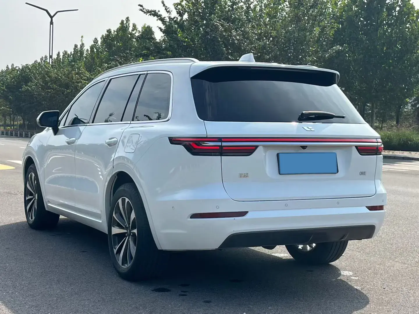 2021 LI ONE thumbnail 4