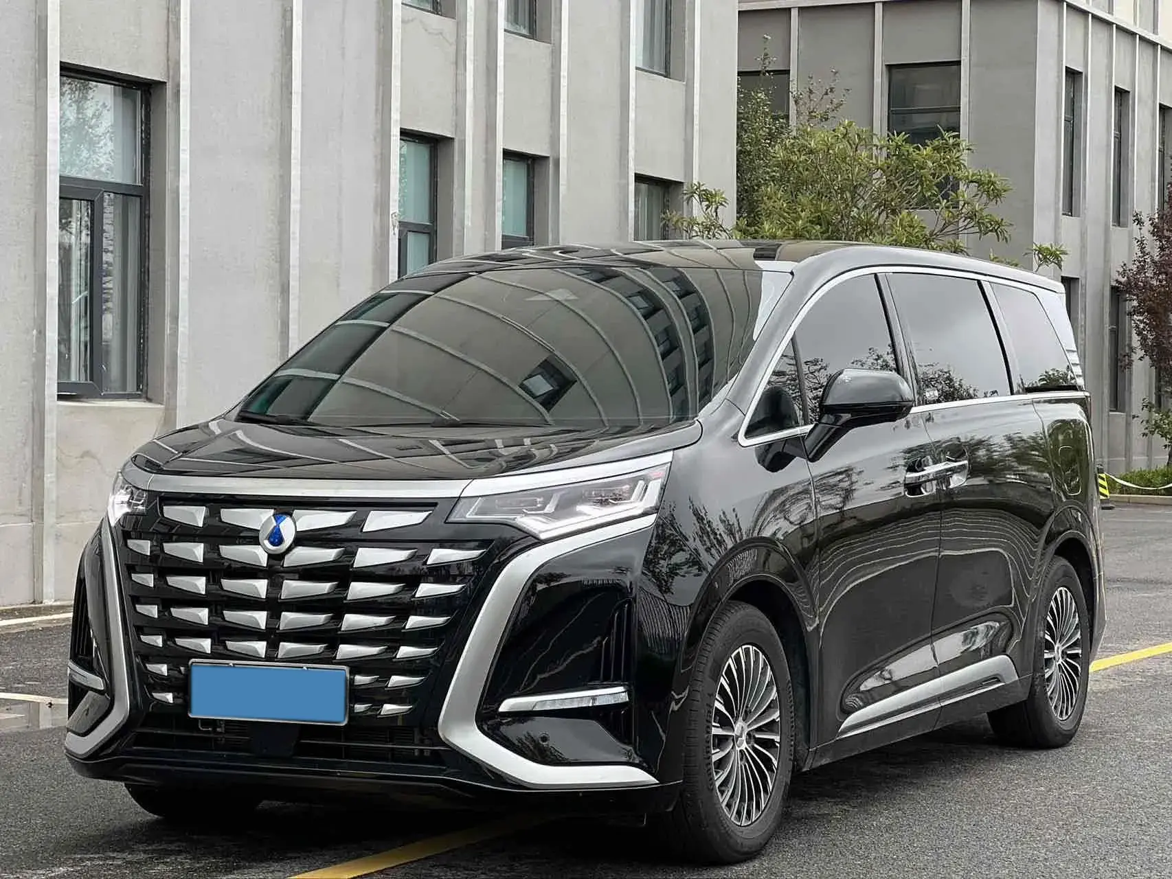 2024 DENZA D9 view 1