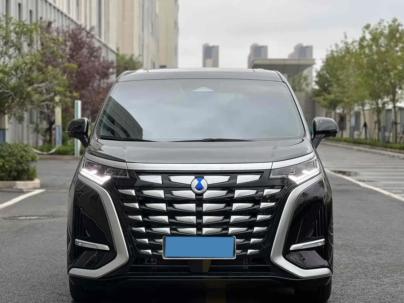 2024 DENZA D9 thumbnail 2