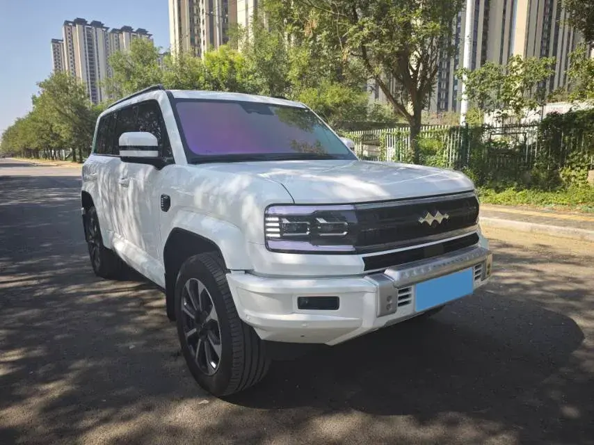 2023 FANGCHENGBAO BAO thumbnail 3