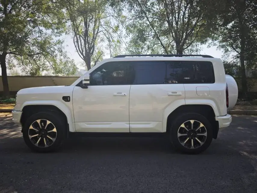 2023 FANGCHENGBAO BAO thumbnail 4