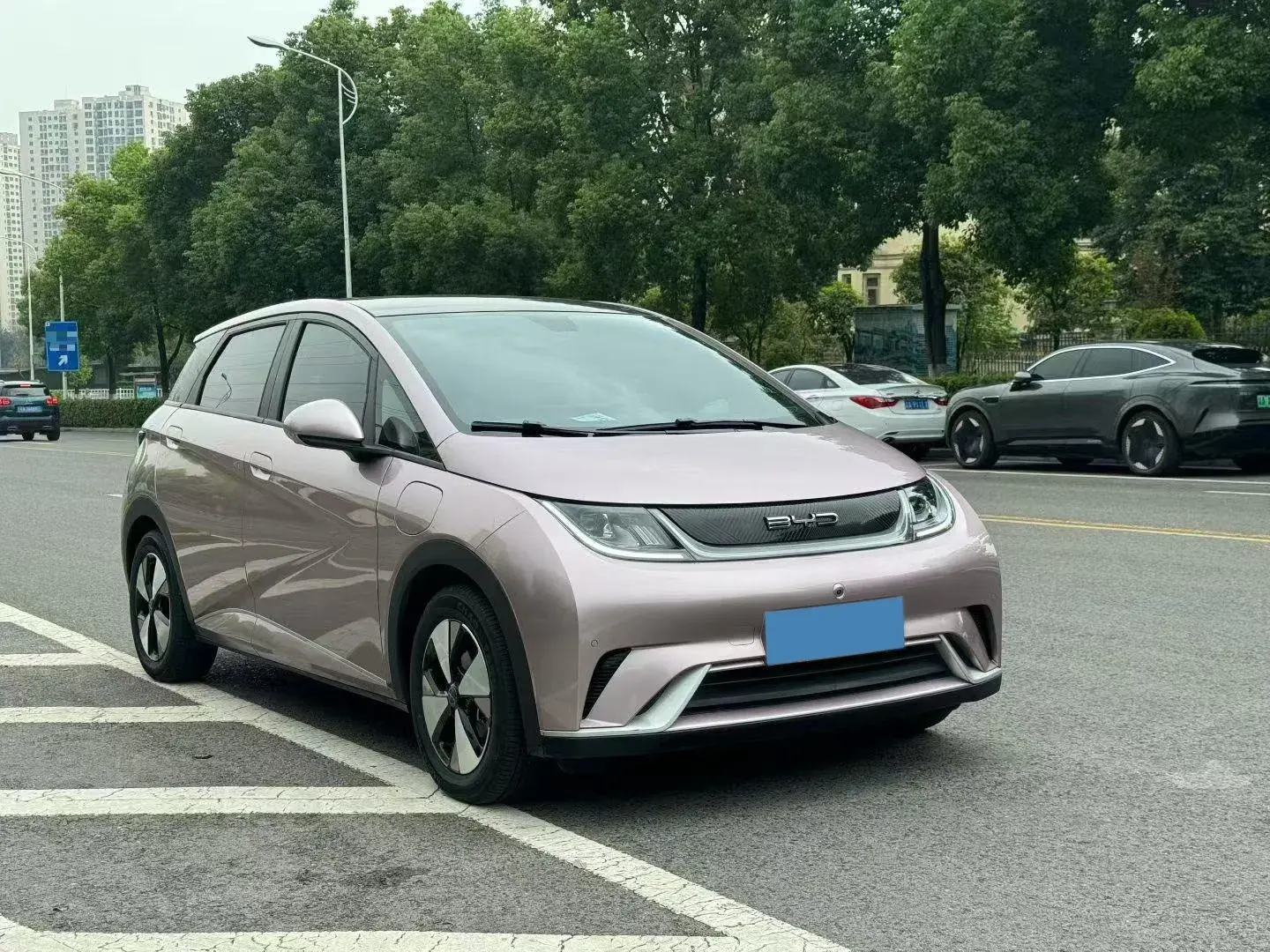 2023 BYD DOLPHIN thumbnail 2