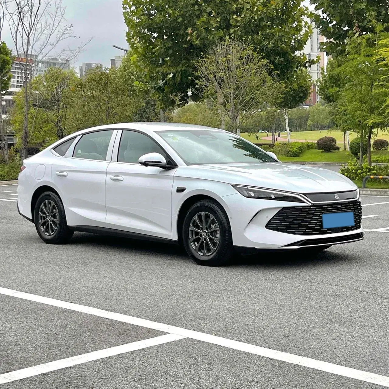 2025 BYD QINL thumbnail 3