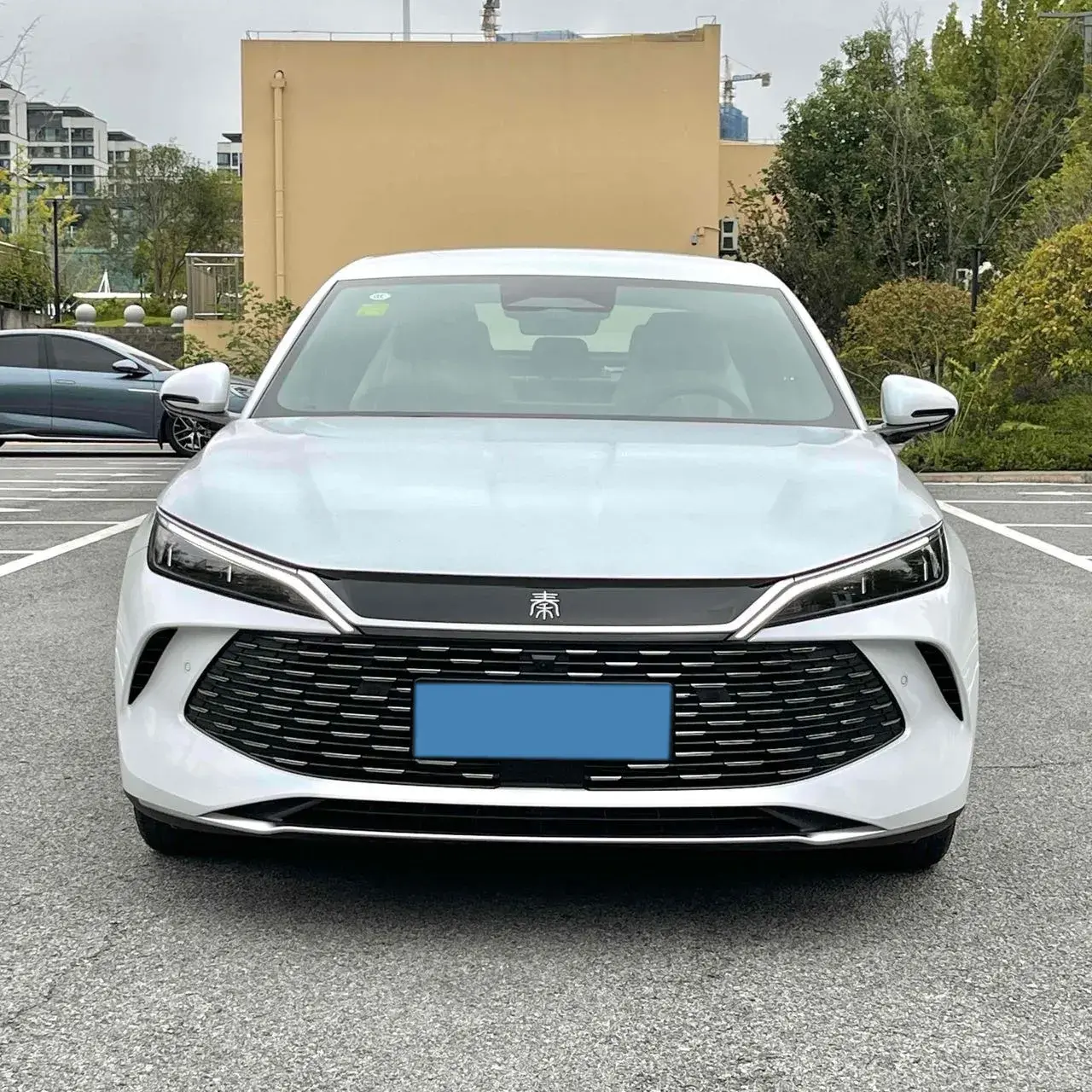 2025 BYD QINL thumbnail 2